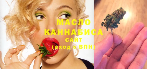стаф Медногорск