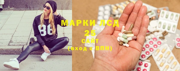 стаф Медногорск