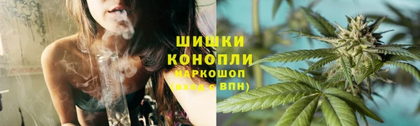 стаф Медногорск