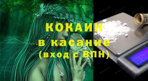 стаф Медногорск