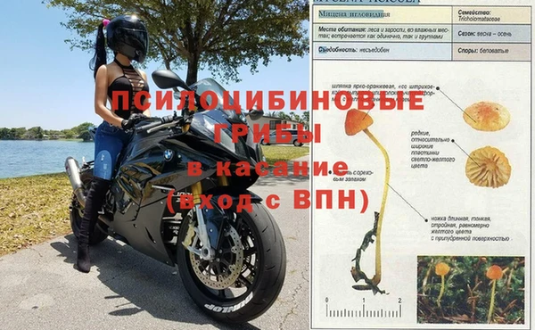 ГАЛЛЮЦИНОГЕННЫЕ ГРИБЫ Мегион